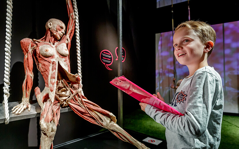 ילדים חוקרים את גוף האדם במוזיאון עולם גוף האדם של אמסטרדם | Photo copyright: Body Worlds Amsterdam