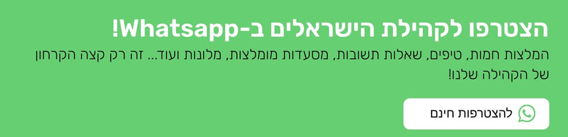 הצטרפות לקבוצת הוואטסאפ של מדריכי מוזה לאמסטרדם